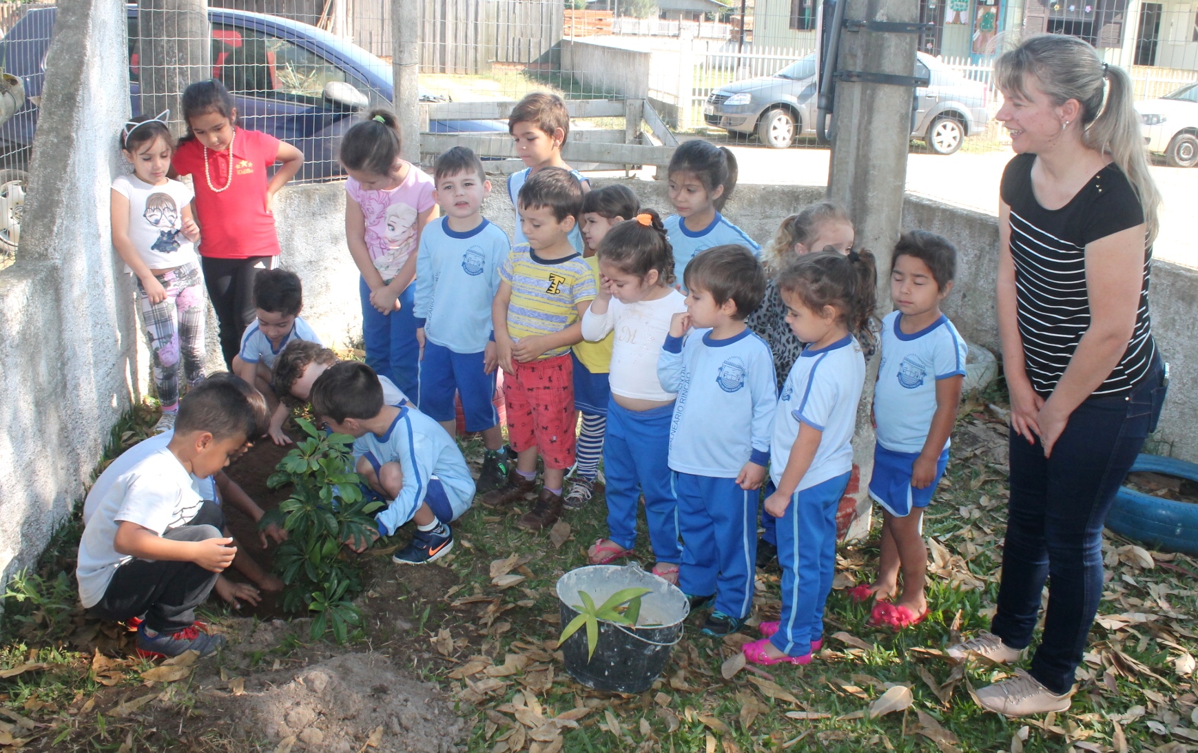 Alunos plantam mudas de árvore em Balneário Rincão Içara News