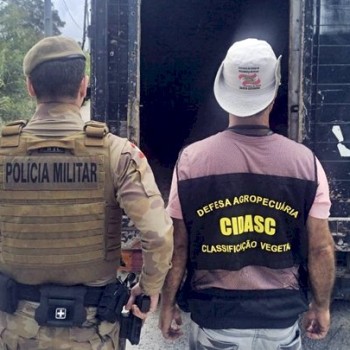 Com multas de até R$ 20 mil, PMSC inicia Operação Quaresma contra a Farra do Boi