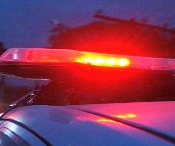 Mulher é identificada após abandono de filhotes em órgão público de Araranguá