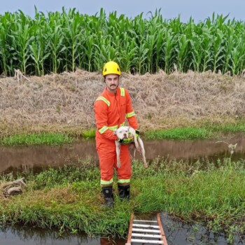 (Vídeo) Resgate de cadela mobiliza equipe em Jaguaruna