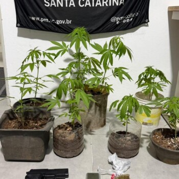 Adolescente é apreendido com maconha e outros materiais em Braço do Norte
