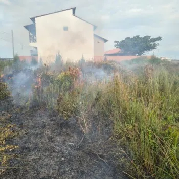 Incêndio em vegetação mobiliza bombeiros e ameaça residência em Jaguaruna