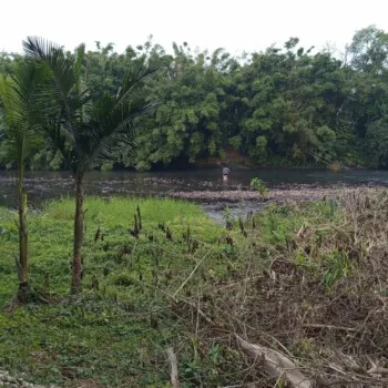Mulher é encontrada após mobilização de equipes de resgate às margens de rio em Meleiro