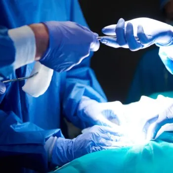 Hospital São José chega ao 150º transplante renal e amplia trajetória como referência no tratamento de doenças renais