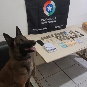 PM flagra venda de drogas e apreende maconha e ecstasy em Sombrio